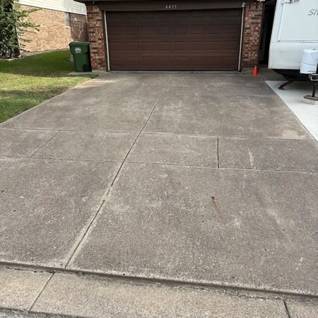 Why Is Your Driveway Turning Black? Understanding Organic Growth on Concrete