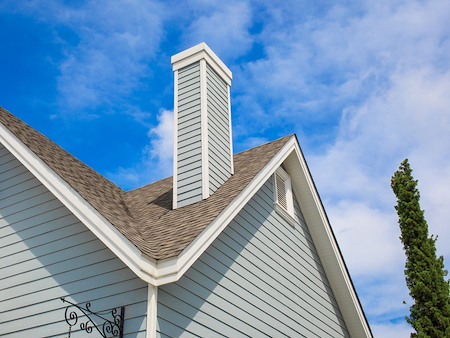 What Is Growing on Your Roof? The Dangers of Gloeocapsa Magma