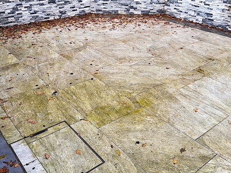 Why Is Your Patio Becoming a Slip Hazard? The Hidden Dangers of Algae Build-Up